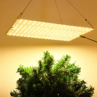 調光可能な LED 成長ライト 1500W フルスペクトル Samsung Lm281b 植物成長ライト
